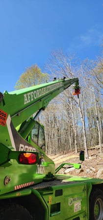 Images Affordable Tree Experts LLC