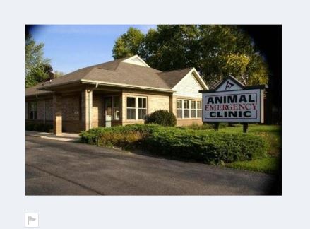 Images Animal Emergency Clinic Of Rockford