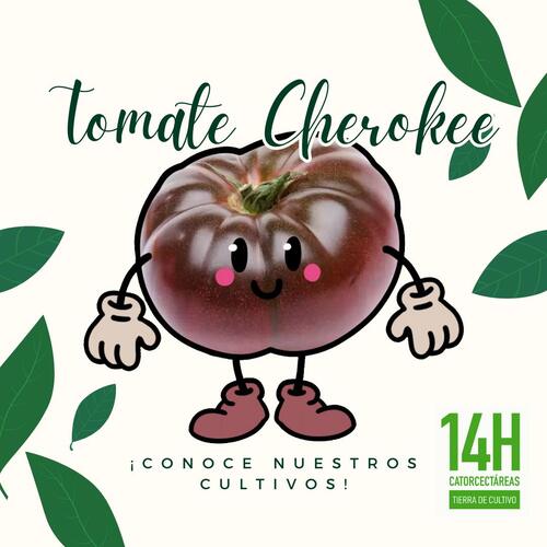 Images Catorcectáreas