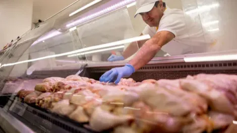 Images Grupo Jarochos