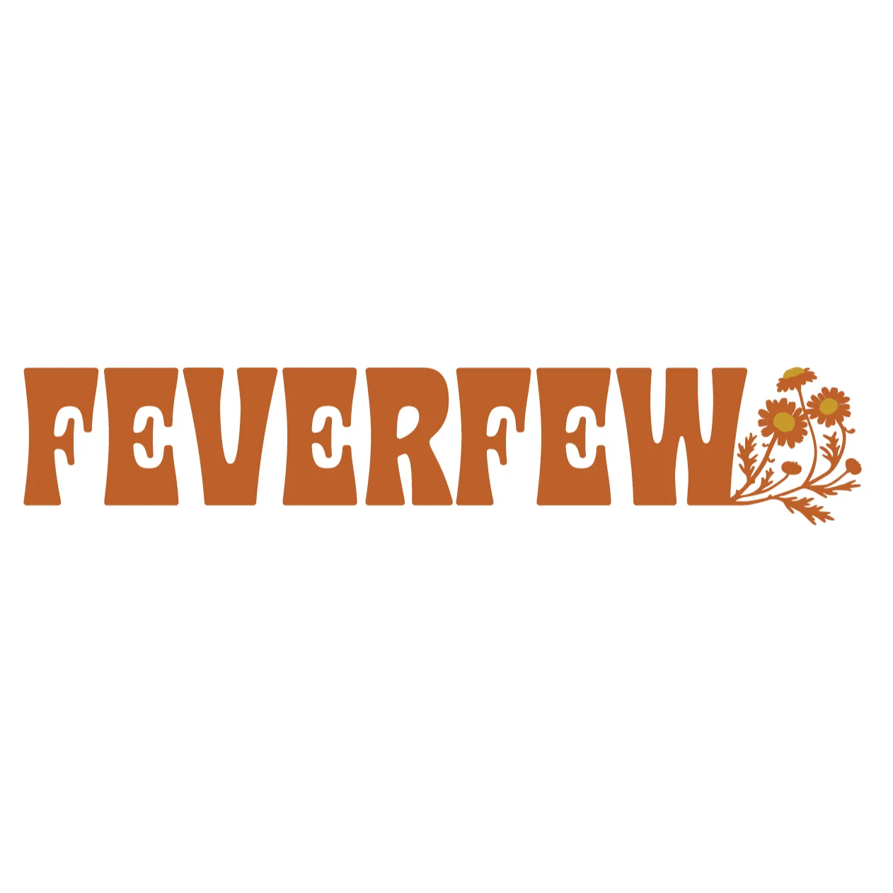 Feverfew - Eagle Rock