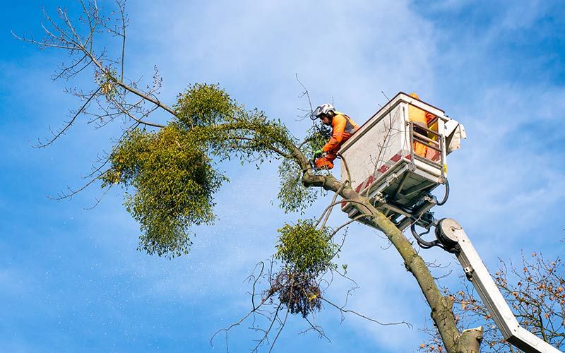 Bild 2 von A-Team Dienstleistungen