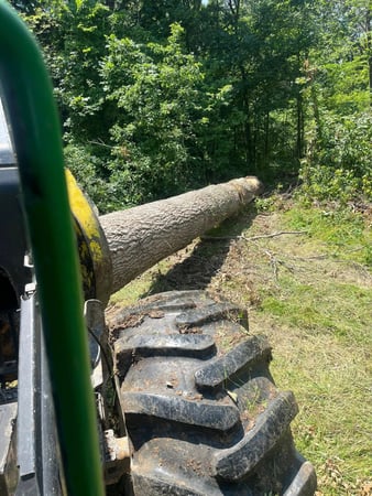 Images Thornton Logging