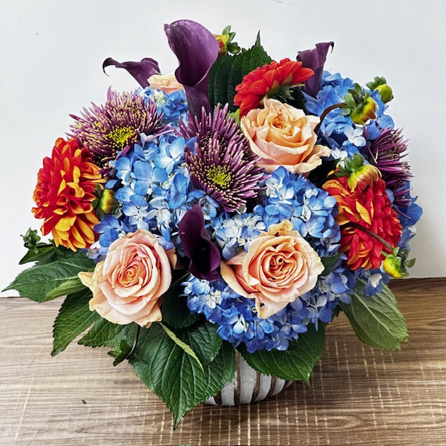 Images Jane's Roses & Flowers