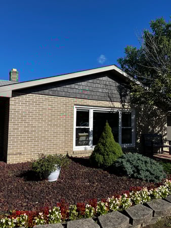 Images Sustar Painting