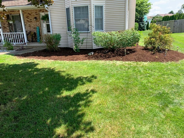 Images Superior Service Lawn Care
