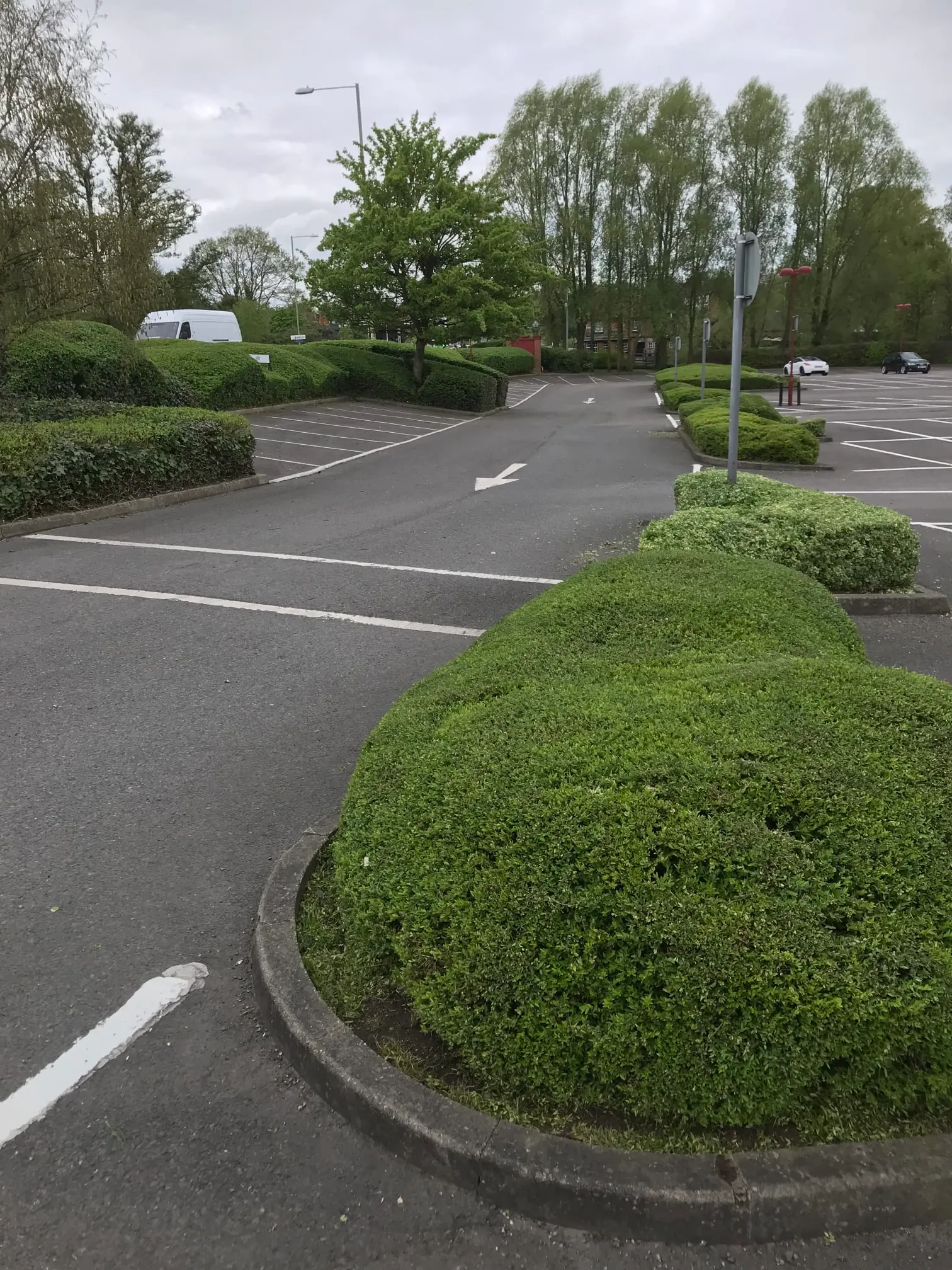 Images SN Landscaping Ltd