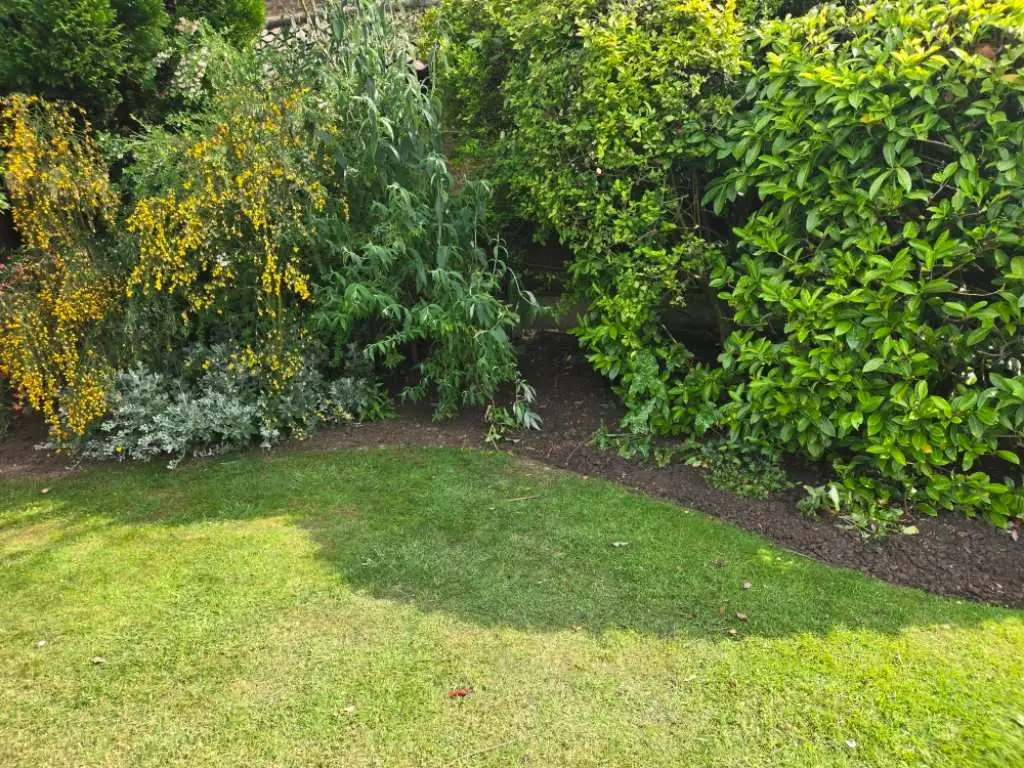 Images J & T Landscaping Ltd