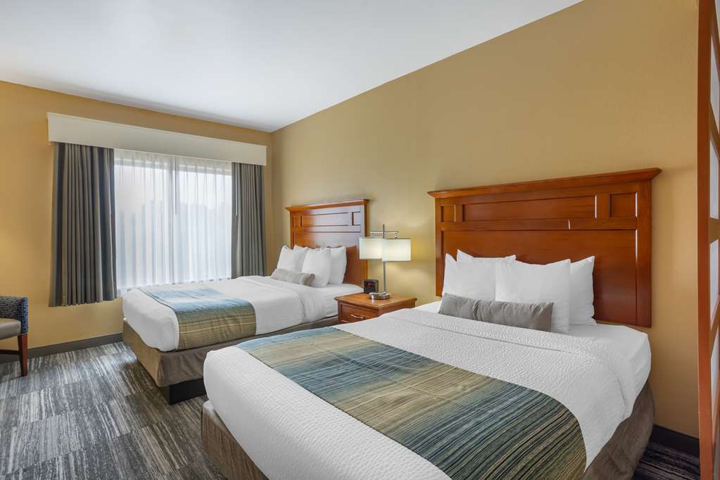 2 Queen Suite