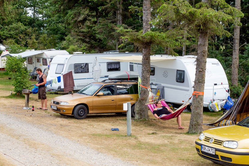 Bild 4 Camping am Deich - Hans-Georg und Christa Hinz in Fehmarn