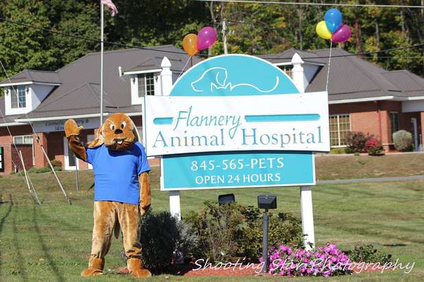 Images VCA Flannery Animal Hospital