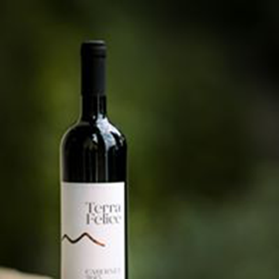 Images Cantina Terra Felice