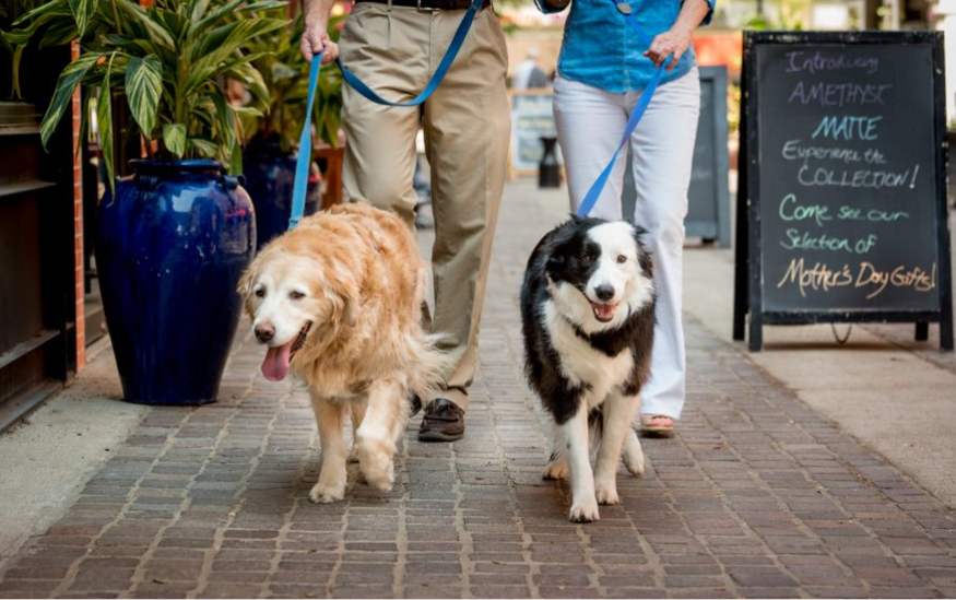 Our pet-friendly living allows for the best walk, every day
