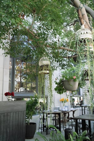 Images The Culver Hotel