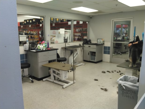 Images Petco Grooming
