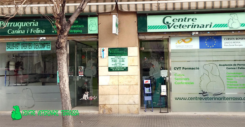 Images Centre Veterinari Terrassa - Nature Faunia
