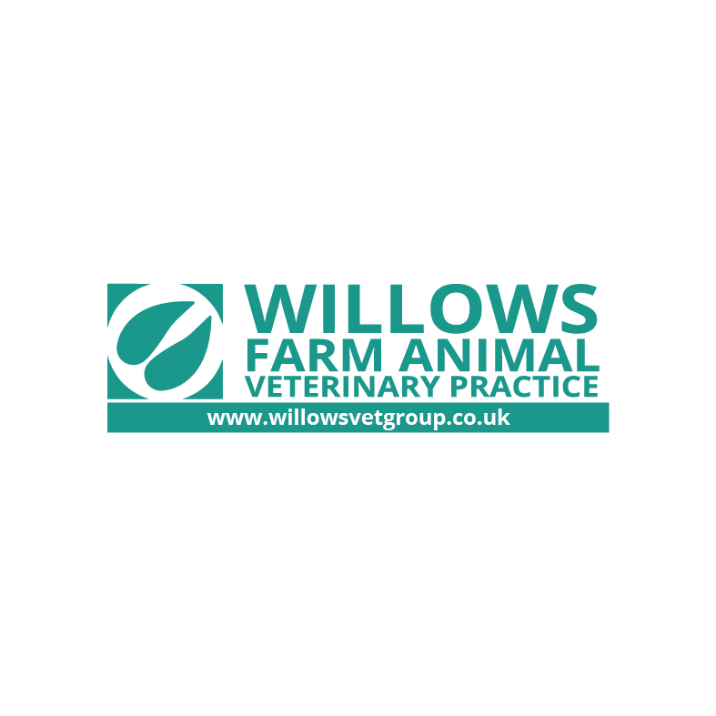 Images Willows Farm Animal Veterinary Practice