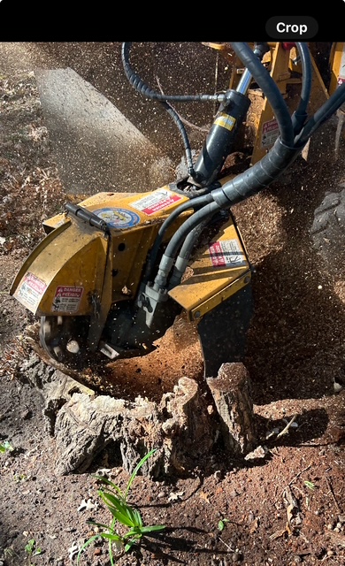 Images Eager Beaver Tree Service LLC