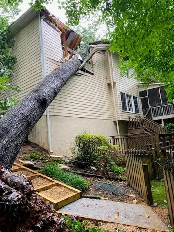 Images Smiths Tree Service