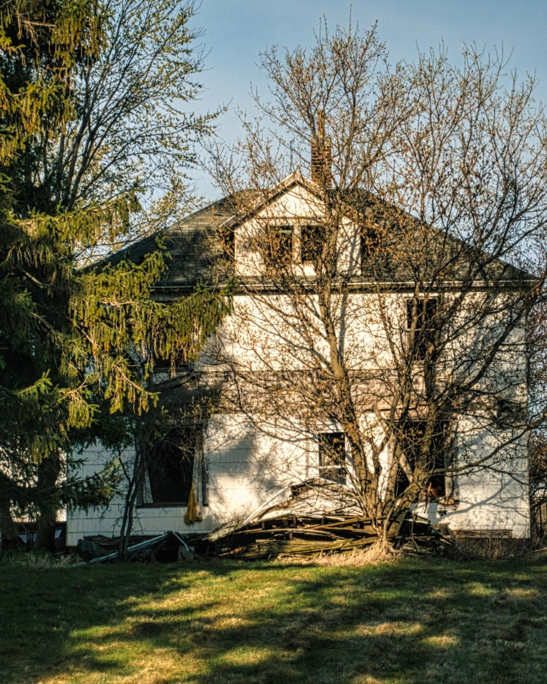 Down Rite Tree Service Image