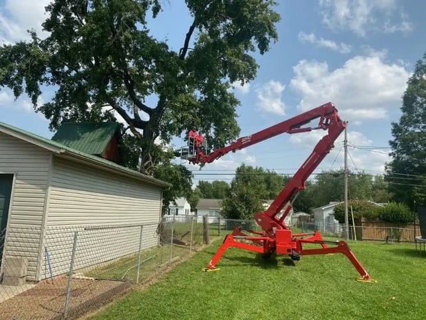 Images Allegiance Tree Service