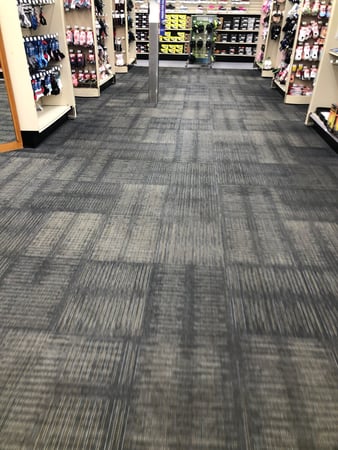 Images Fresh Carpet Clean Houston