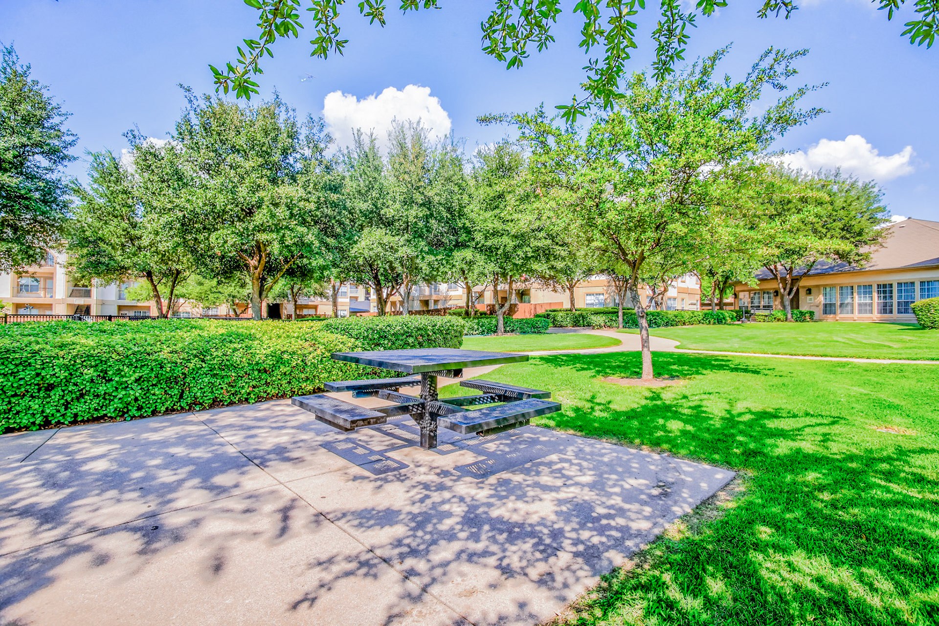 Huge courtyard with BBQ Grills