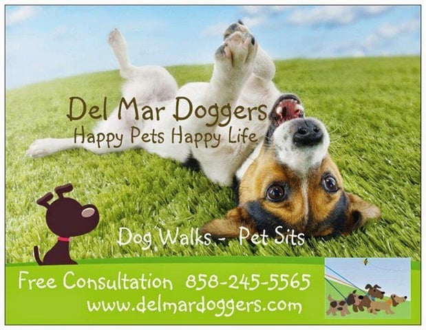 Images Del Mar Doggers dog walking, dog sitting, overnight stays