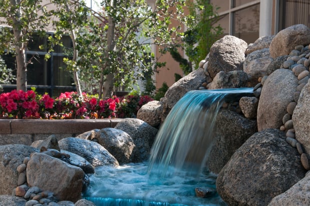 Images Monji Landscape Companies