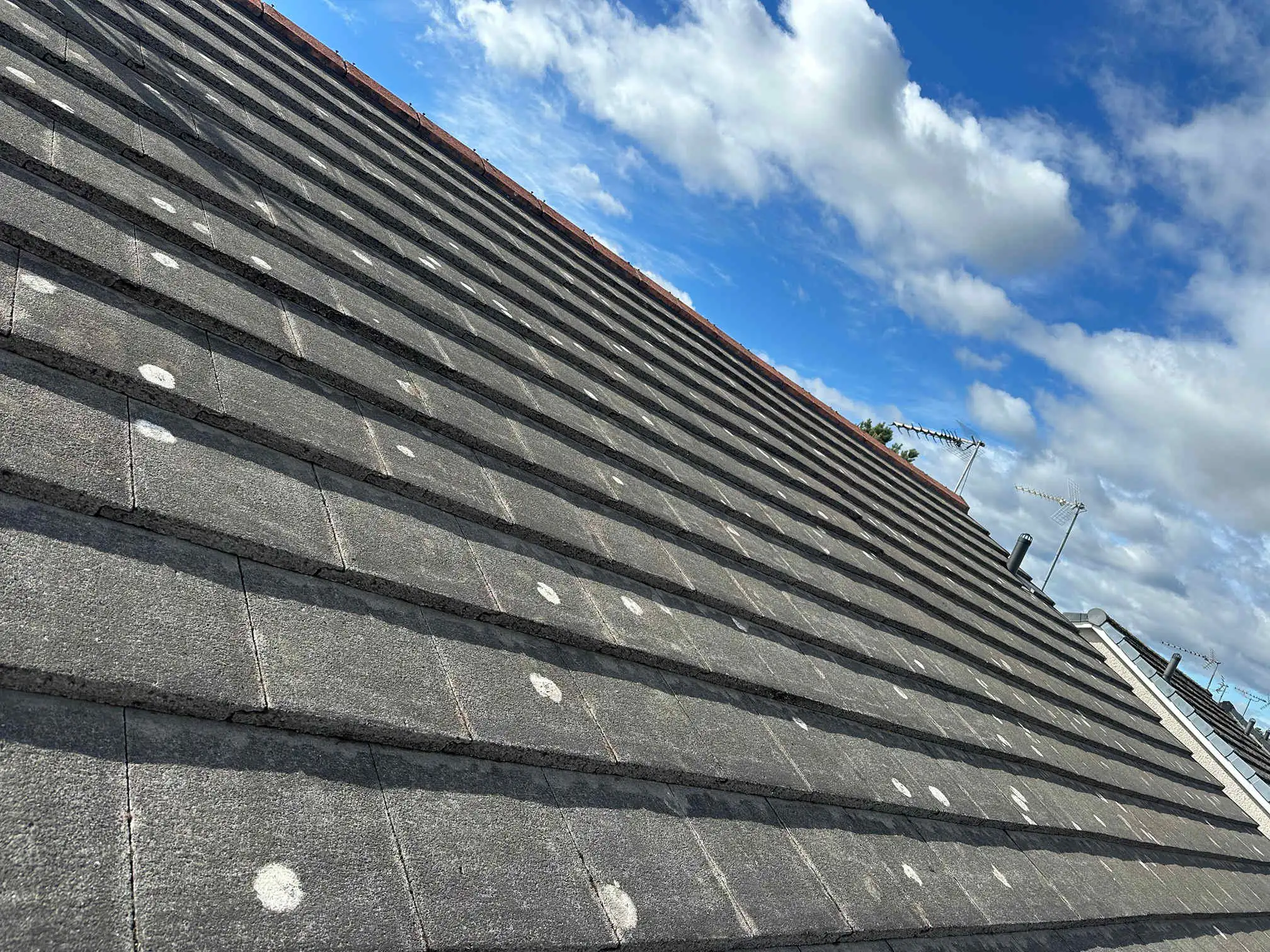 Images DB Roofing and Maintenance