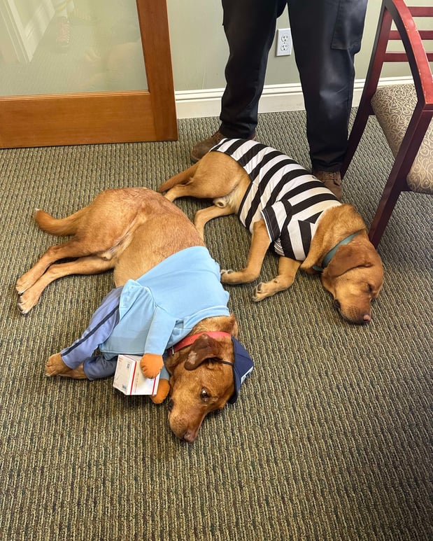 Images Anne Lintz - State Farm Insurance Agent