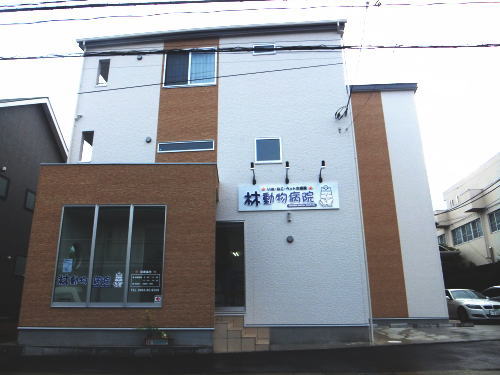 Images 林動物病院