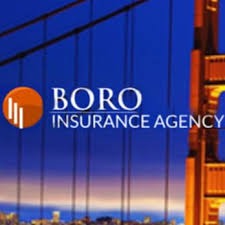 Boro Insurance Agency Logo