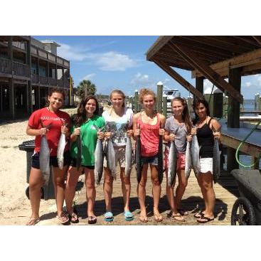 Gulf Adventures Fishing and Dolphin Cruises