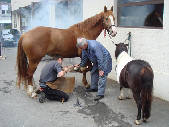 Müller Ruedi, Brünigstrasse 121 in Sarnen