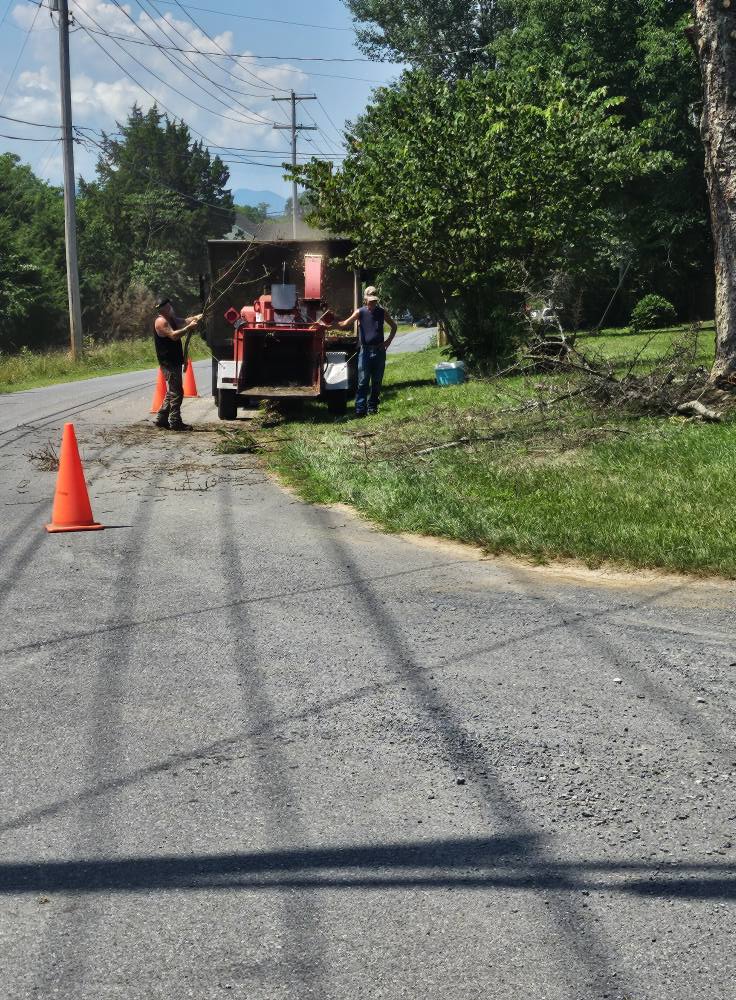 D&S Tree and Landscaping Image