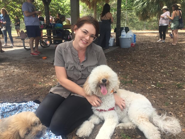 Images Pawfect Pals Miami