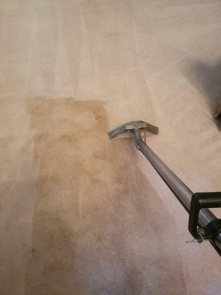 Image 3 | Archer Carpet and Tile Cleaning