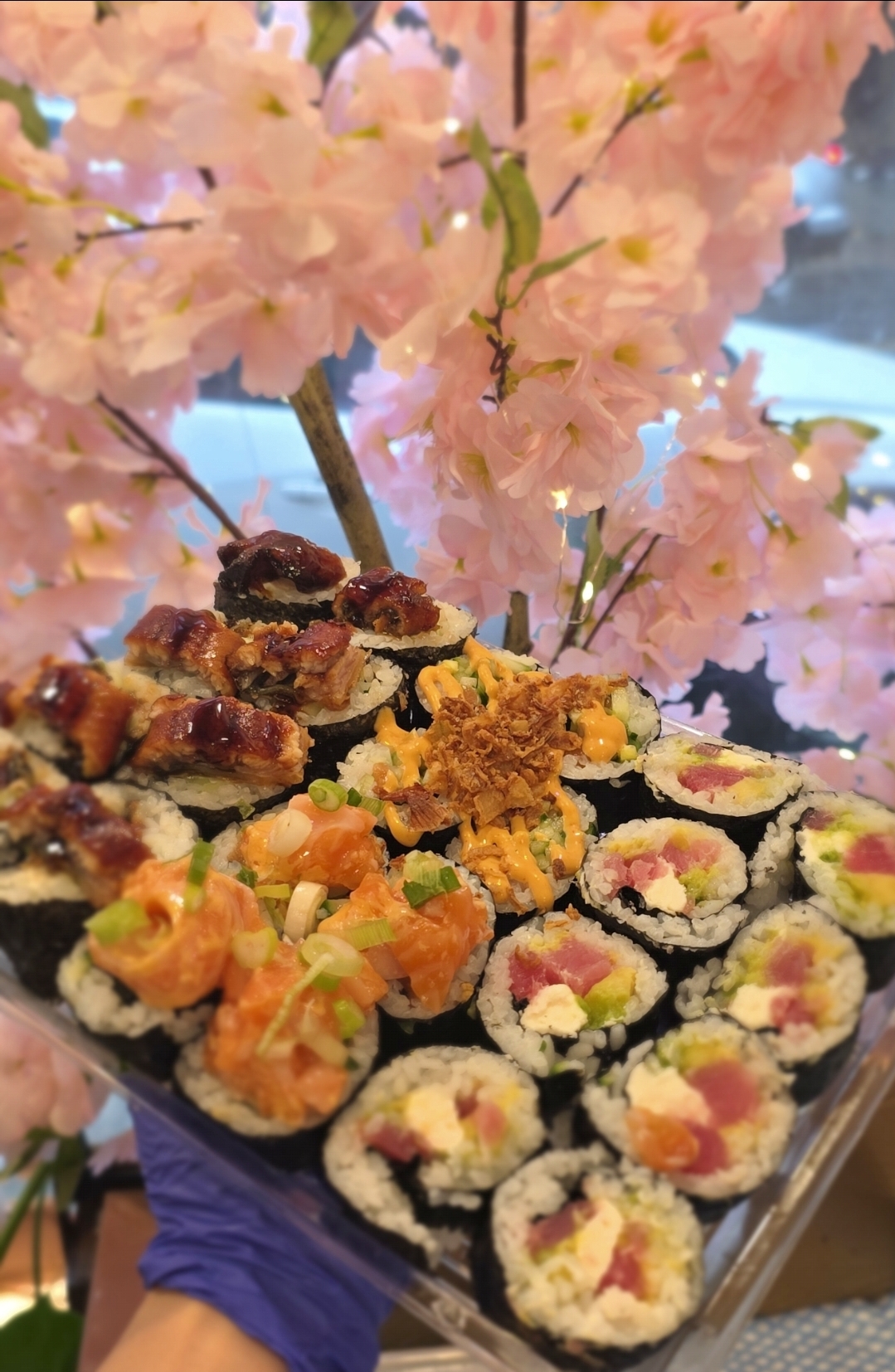 Images Maison Est | East House