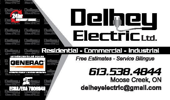 Delhey Electric LTD