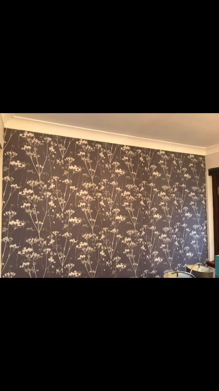 Images Broomhill Painters & Decorators