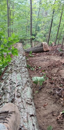 Images Rucker Logging and Excavation