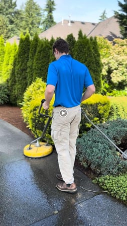 Images P&M Pressure Wash - Window & Gutter Cleaning