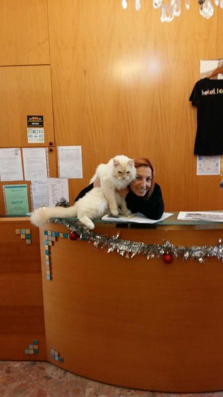 Images Hotel I Colori