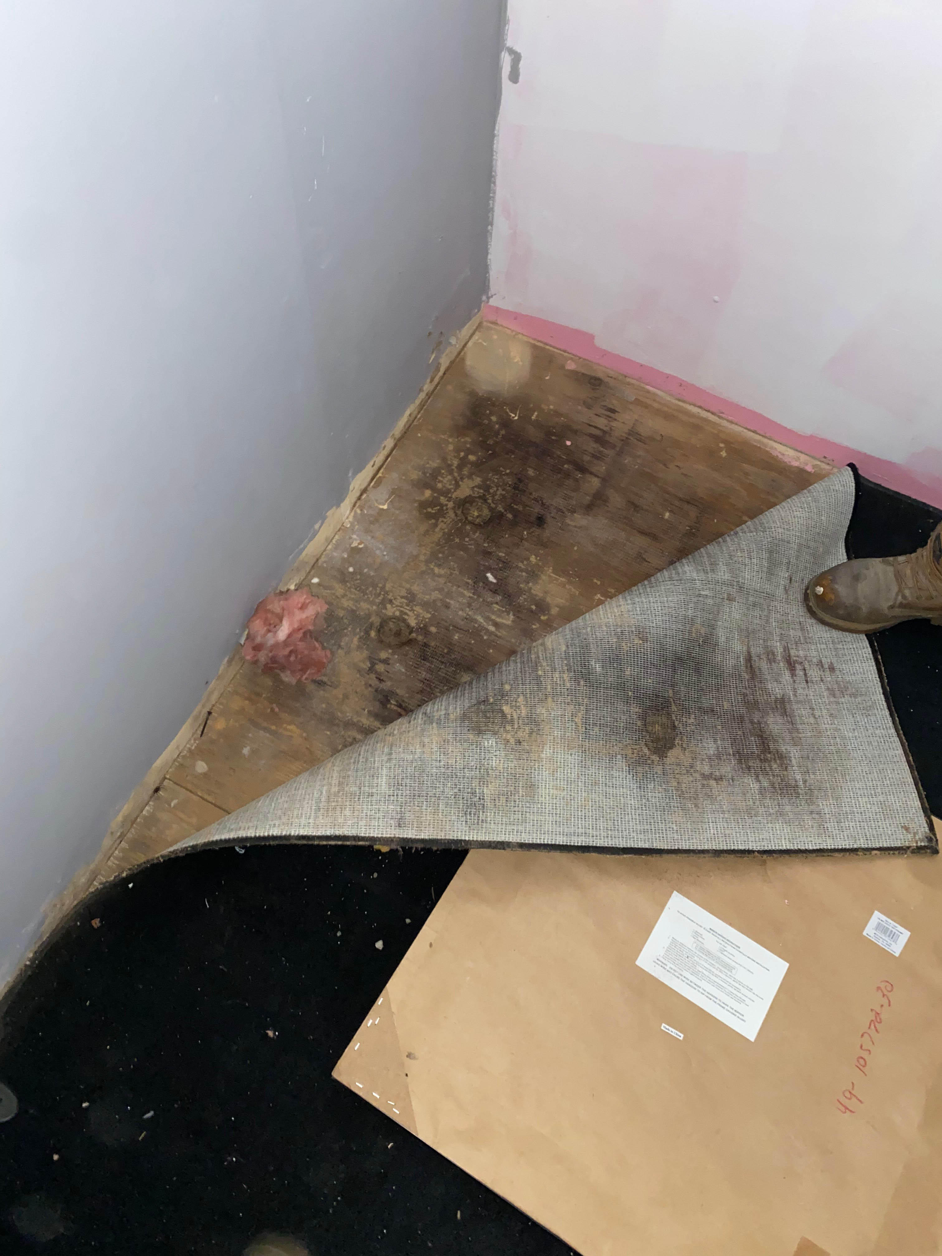 Mold growth is also a form of secondary damage after a water event. If your home has recently suffered any type of water damage, then you should call SERVRO of Providence for a professional mold inspection. Give us a call!