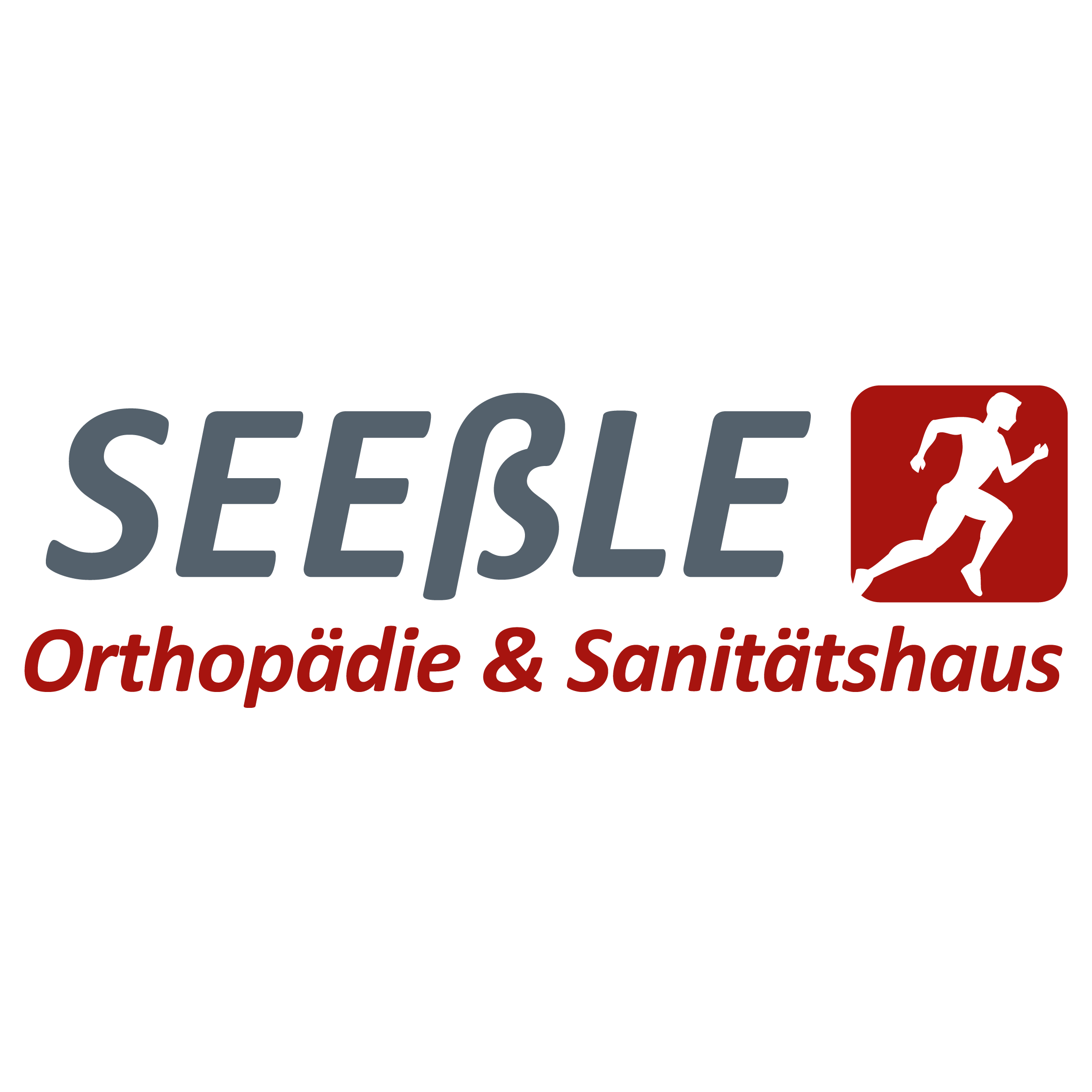 Logo Seeßle Fussgesund GmbH
