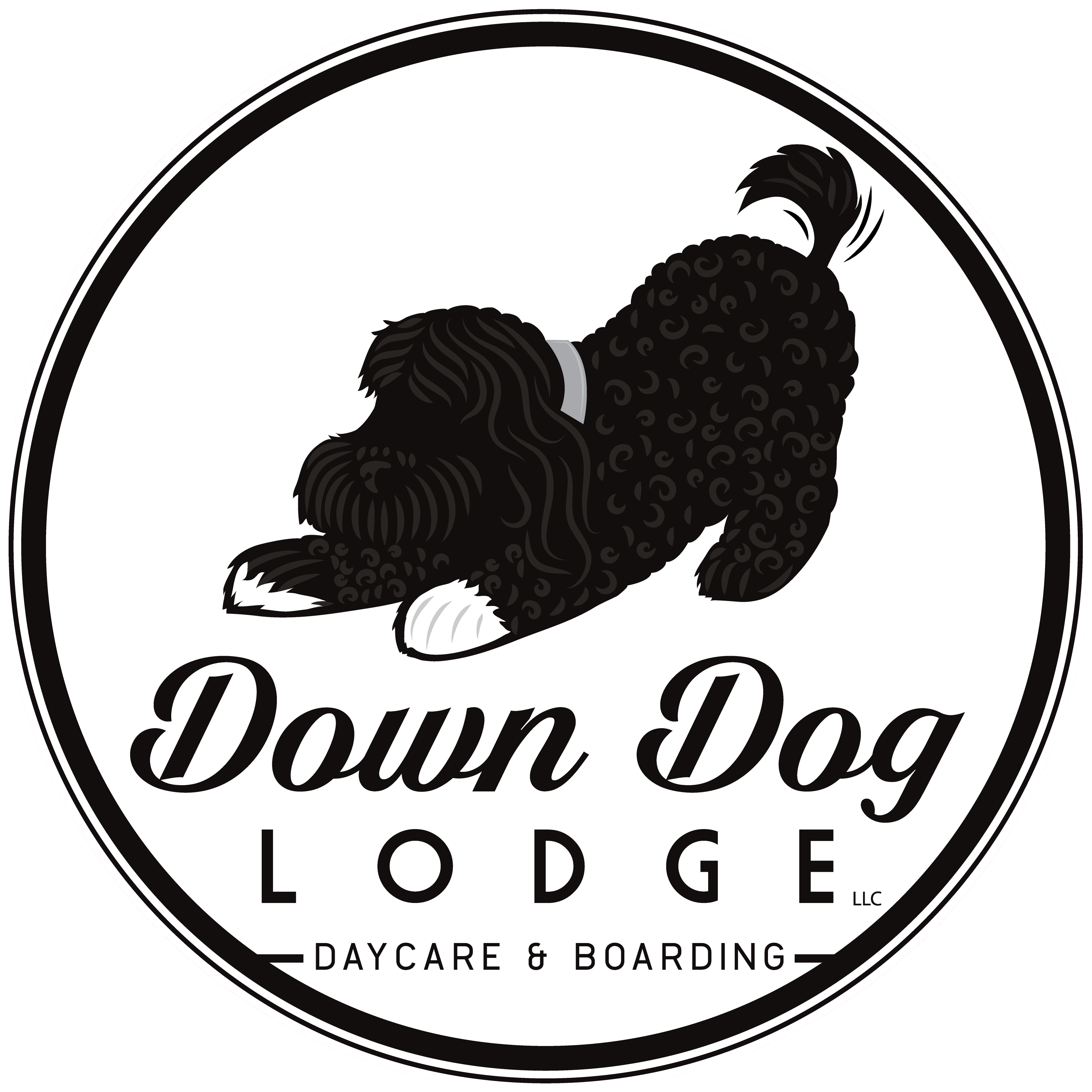 company logo