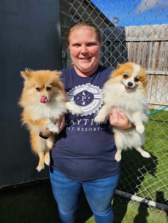 Images Playtime Pet Resort