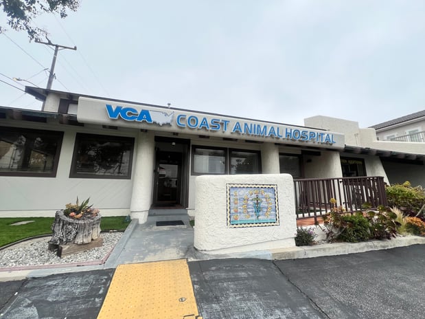 Images VCA Coast Animal Hospital