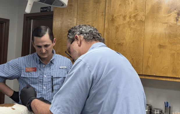 Images Chaparral Veterinary Center, P.C.